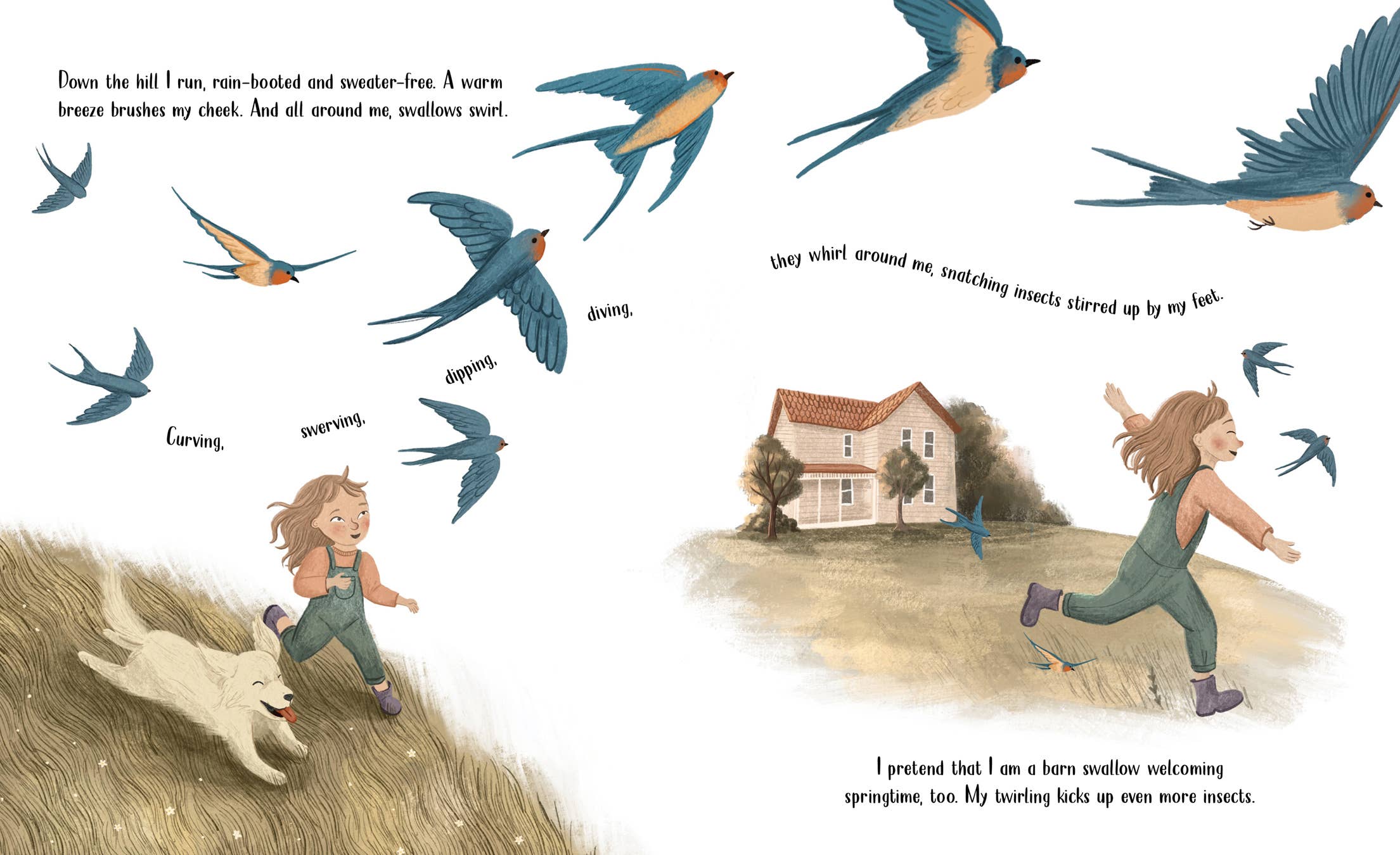Sleeping Bear Press - Vente Livre – enfant - Livre d'images des hirondelles tourbillonnantes1