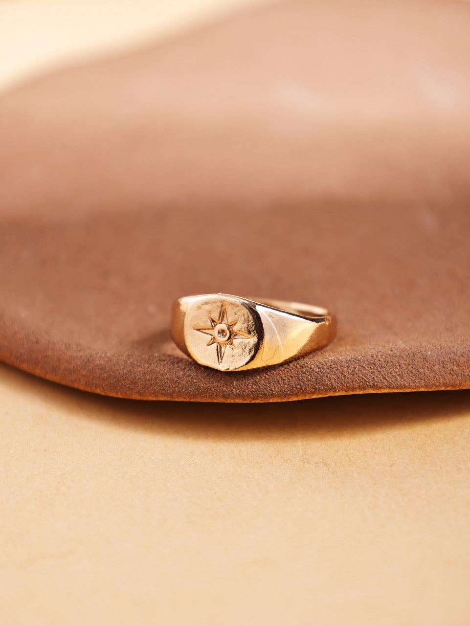 Revelari – Engroshandel Signetring – Nordstjerne Signet Guldring2