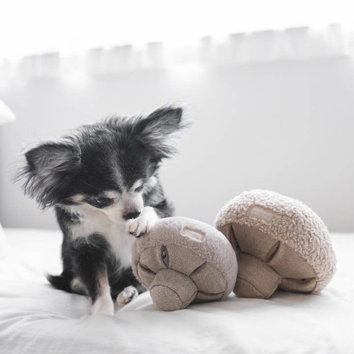 Lambwolf Collective - Wholesale Pet Toy - Dog - GUU//OAT//NOSEWORK MUSHROOM//ENRICHMENT DOG TOY