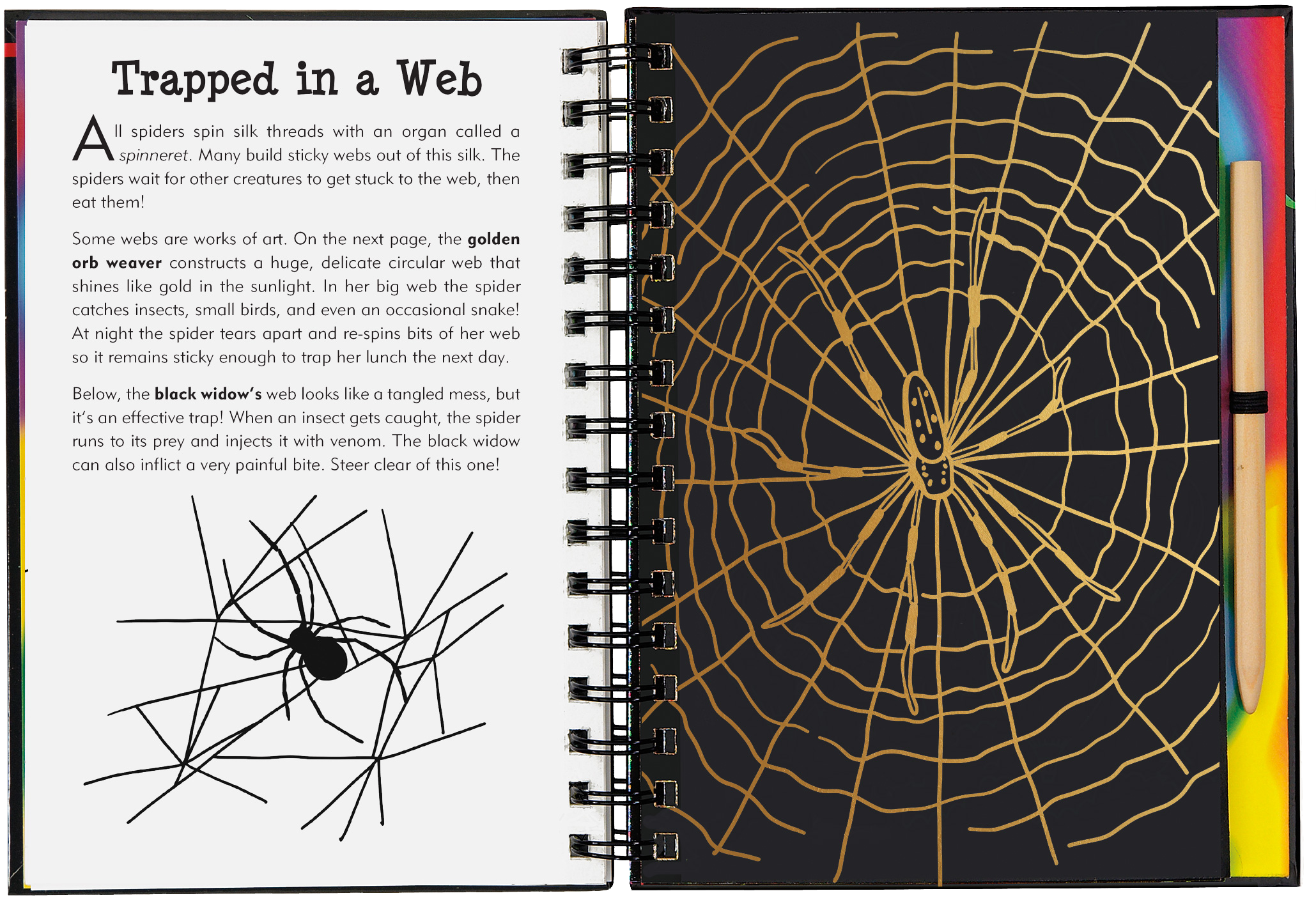 Peter Pauper Press - Vente Carnets de croquis - Bugs ! Gratte et Dessine4