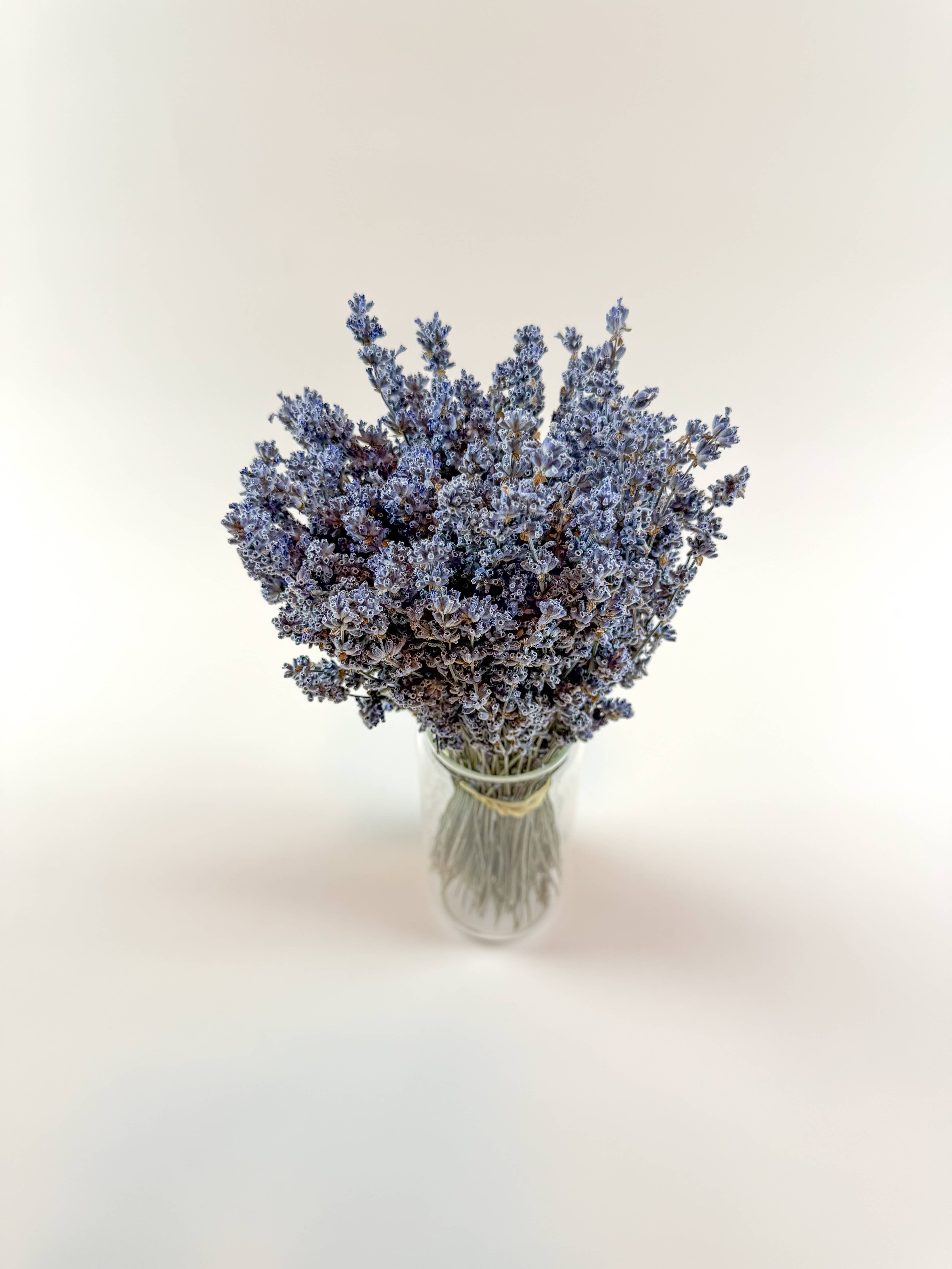 Lovejoy Farms Premium Dried Flowers - Wholesale Dried/Pressed Flowers - Light Blue Lavender – Naturally Air-Dried Florals1