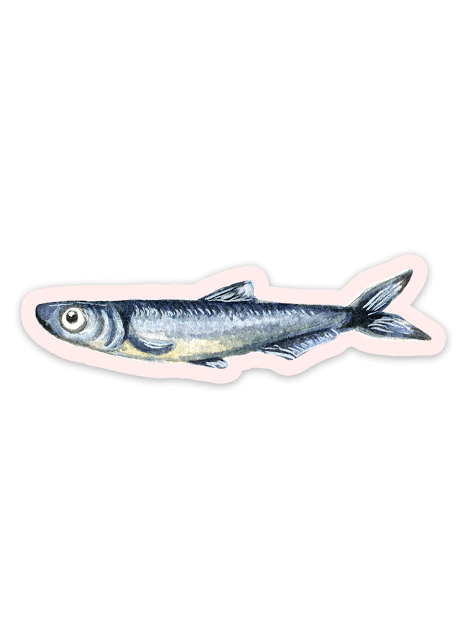 Studio Miller - Vente Autocollant - Autocollant en vinyle aquarelle poisson sardine anchois Italie été0