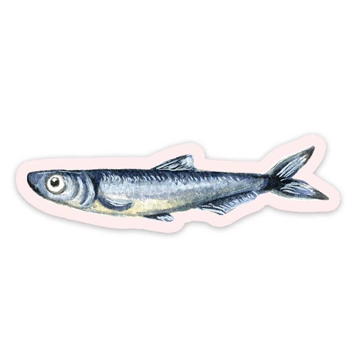 Studio Miller - Vente Autocollant - Autocollant en vinyle aquarelle poisson sardine anchois Italie été