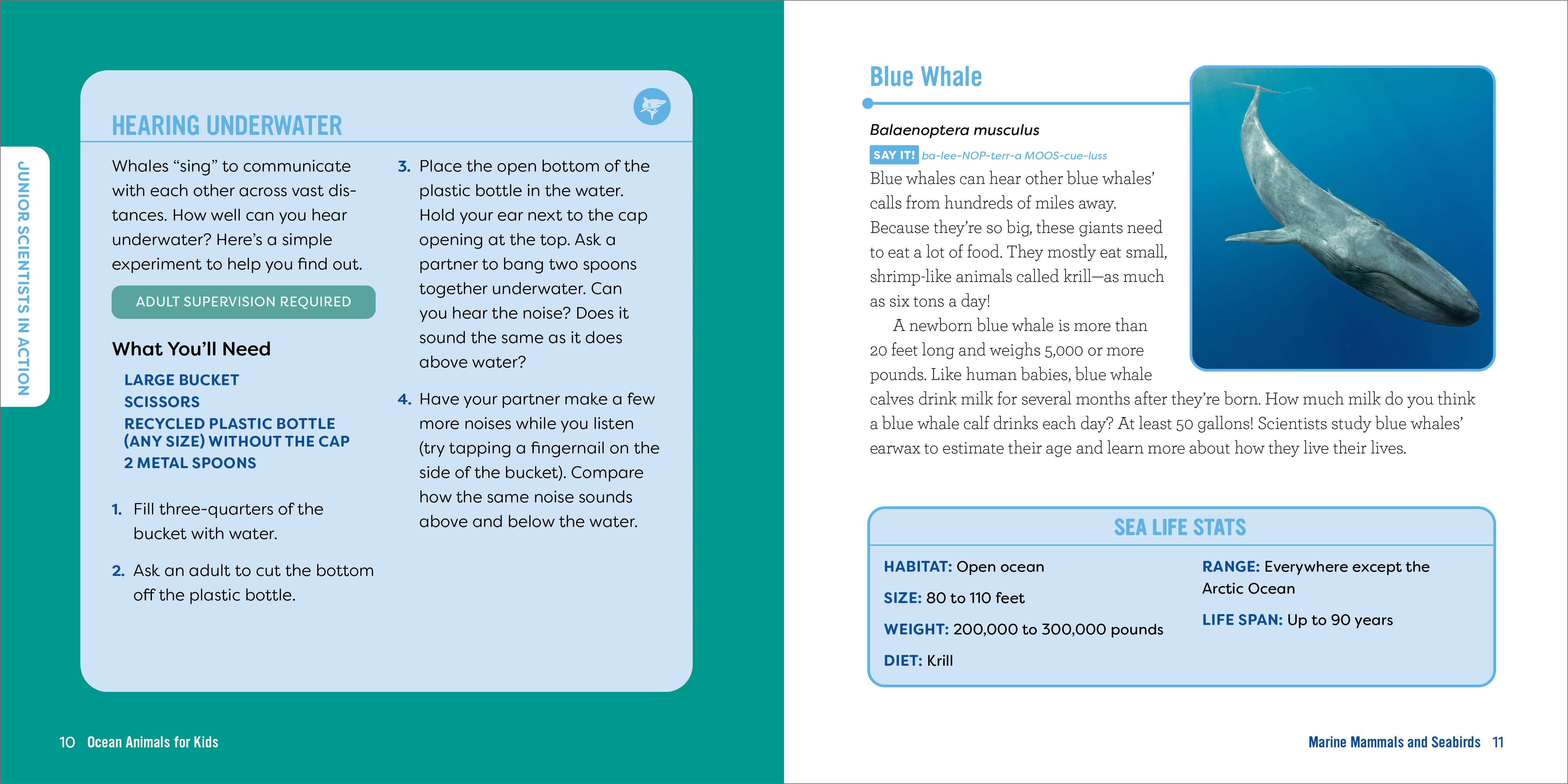 Sourcebooks - Wholesale Nature & Outdoors - Ocean Animals for Kids3