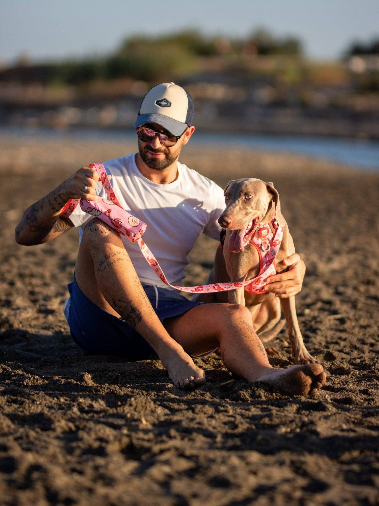 Dukier – toalha - Cão por atacado – TOALHA PARA CÃO LOBSTERS7