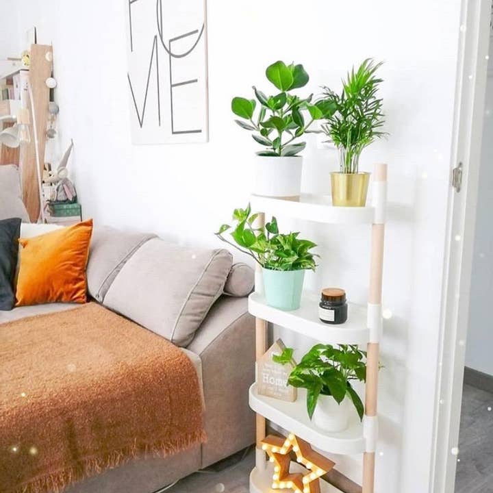 CitySens - Vendita all'ingrosso Mensole da parete - Scaffali modulari per piante CitySens2