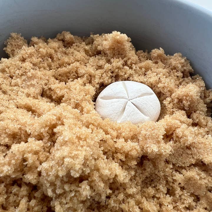 The Original Earthenware Brown Sugar Keeper and other Purchase Wholesale baker. Free Returns & Net 60 Terms on Faire trending on Faire.