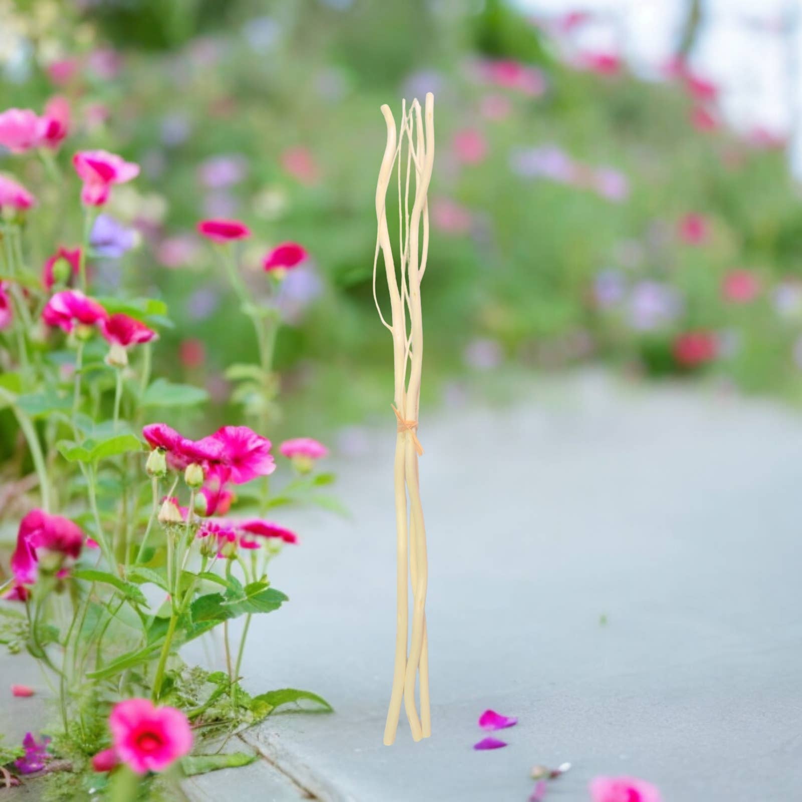 Zen'Arôme - Wholesale Reed Diffuser - Capillarity Diffuser Sticks with branches x 3 - 30cm1