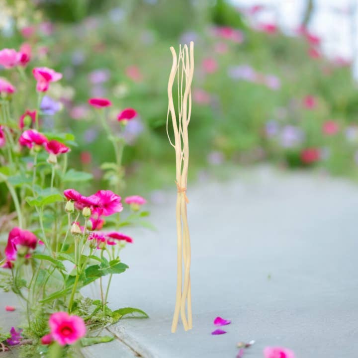 Zen'Arôme - Wholesale Reed Diffuser - Capillarity Diffuser Sticks with branches x 3 - 30cm1