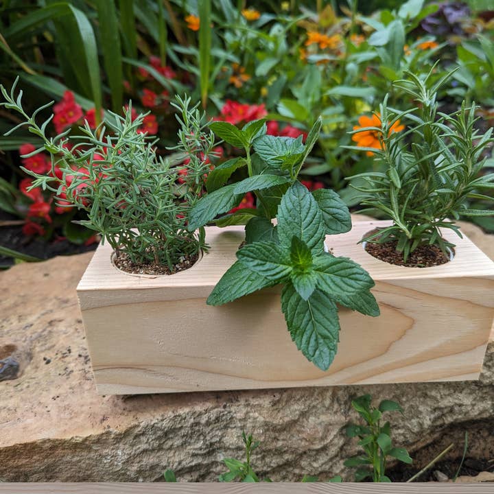 Sprigbox - Wholesale DIY Craft Kit - Cocktail Mixers Starter Kit | Grow Lavender, Mint, Rosemary5