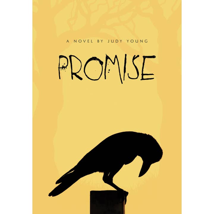 Promise Middle Grade Book for wholesale by Sleeping Bear Press