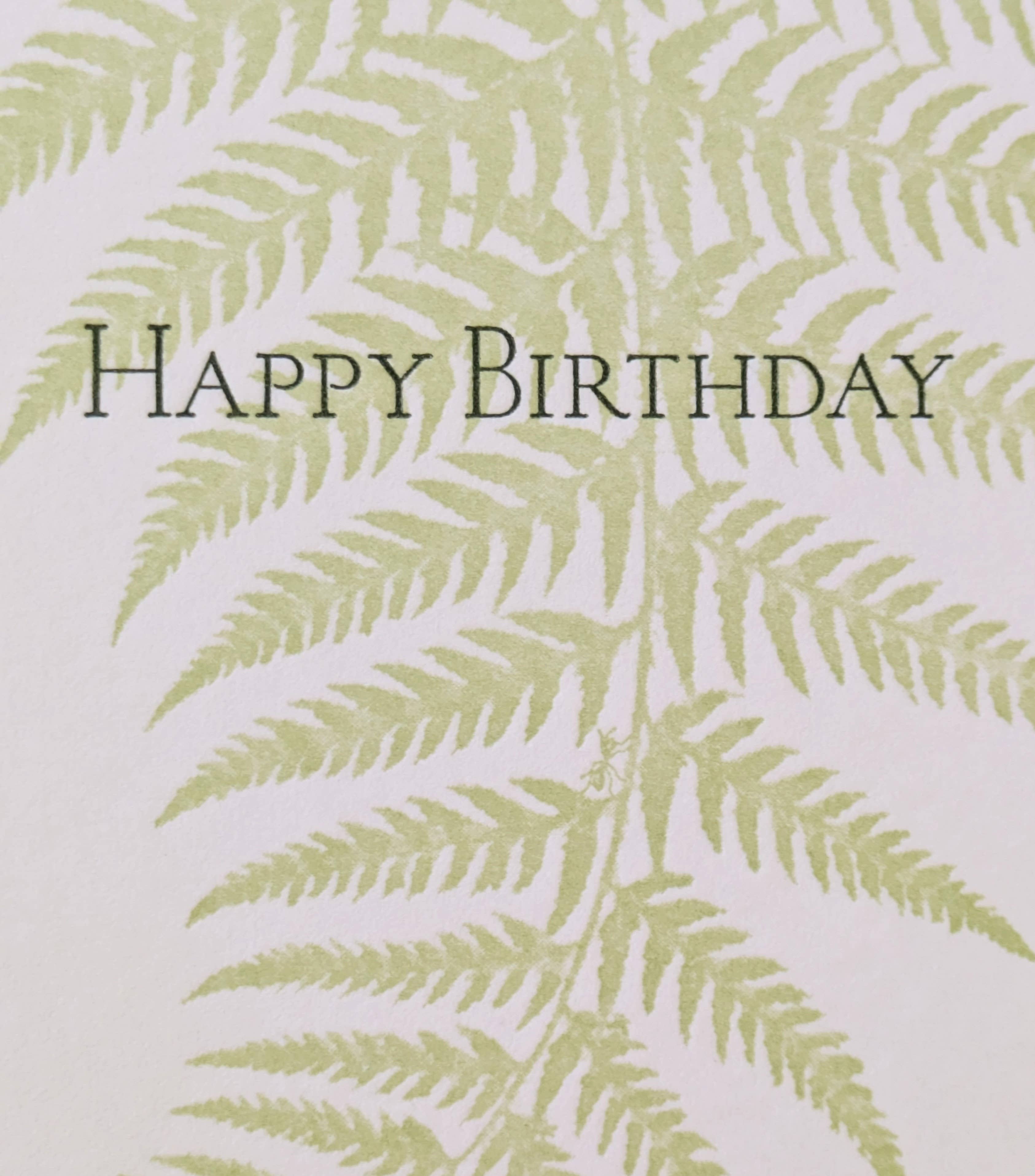 Painted Tongue Press - Wholesale Birthday Card - Fern Birthday and Blank Note Card2