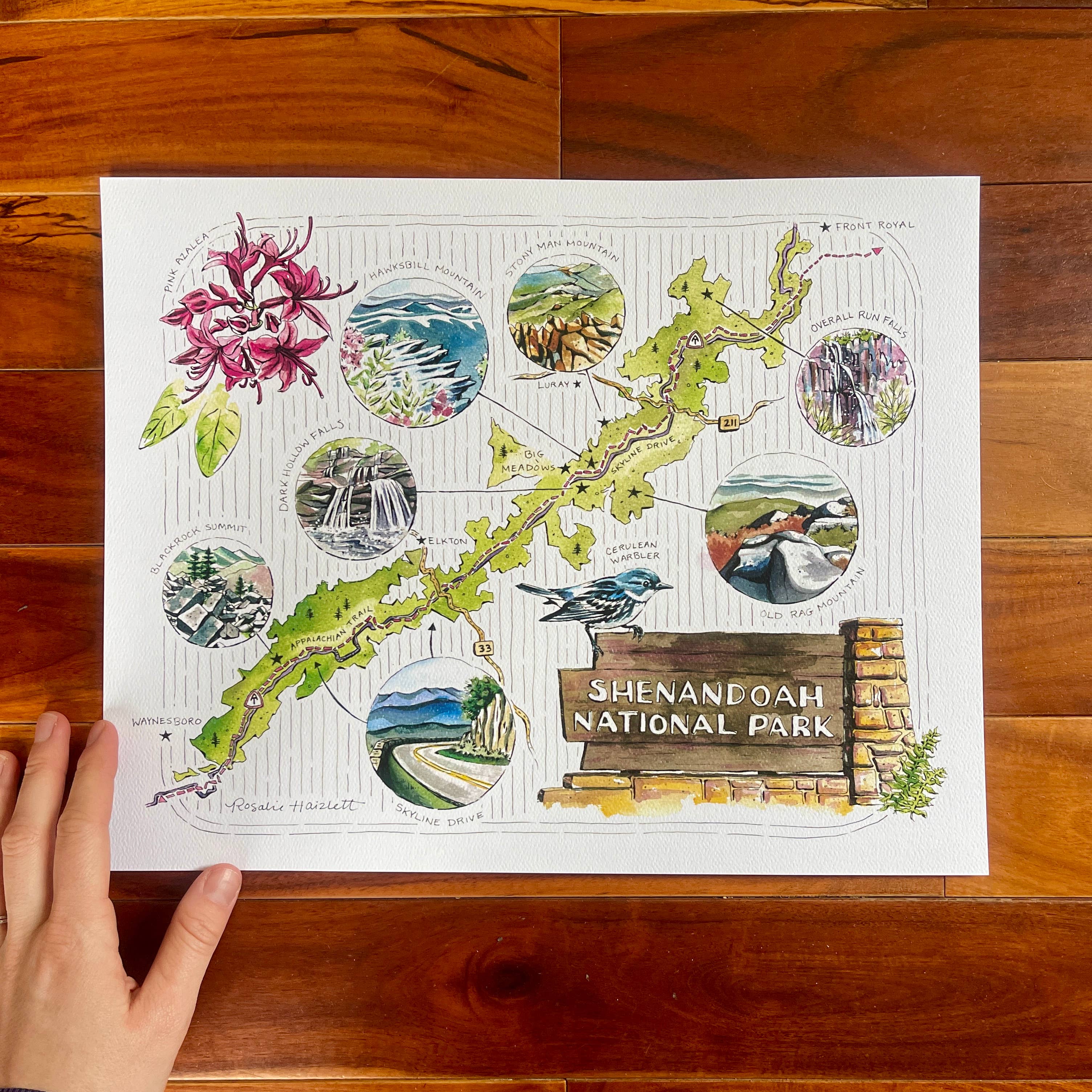 Rosalie Haizlett Illustration - Wholesale Map - Shenandoah National Park Illustrated Map4