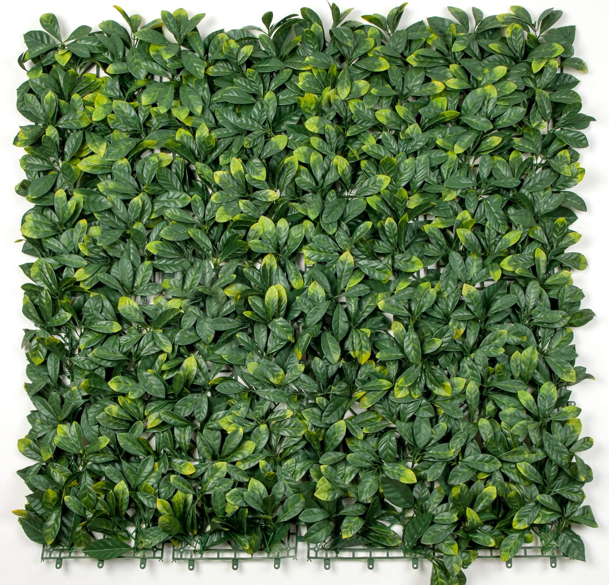 Designer Plants - Wholesale Artificial Plant - Premium Laurel Artificial Vertical Garden Wall 40" x 40" 11SQ FT Commercial Grade UV Resistant1
