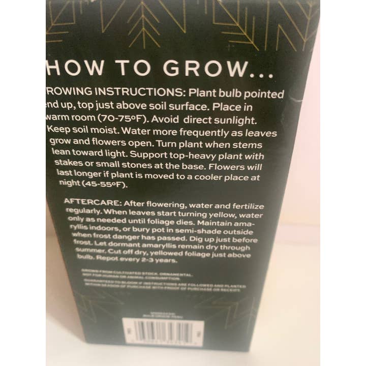 UniqueMartandHome - Wholesale Live Plant - Amaryllis Red Plant Bulbs Flowering Blooms for Holiday Indoors & Outdoor Gardens (Copy)3