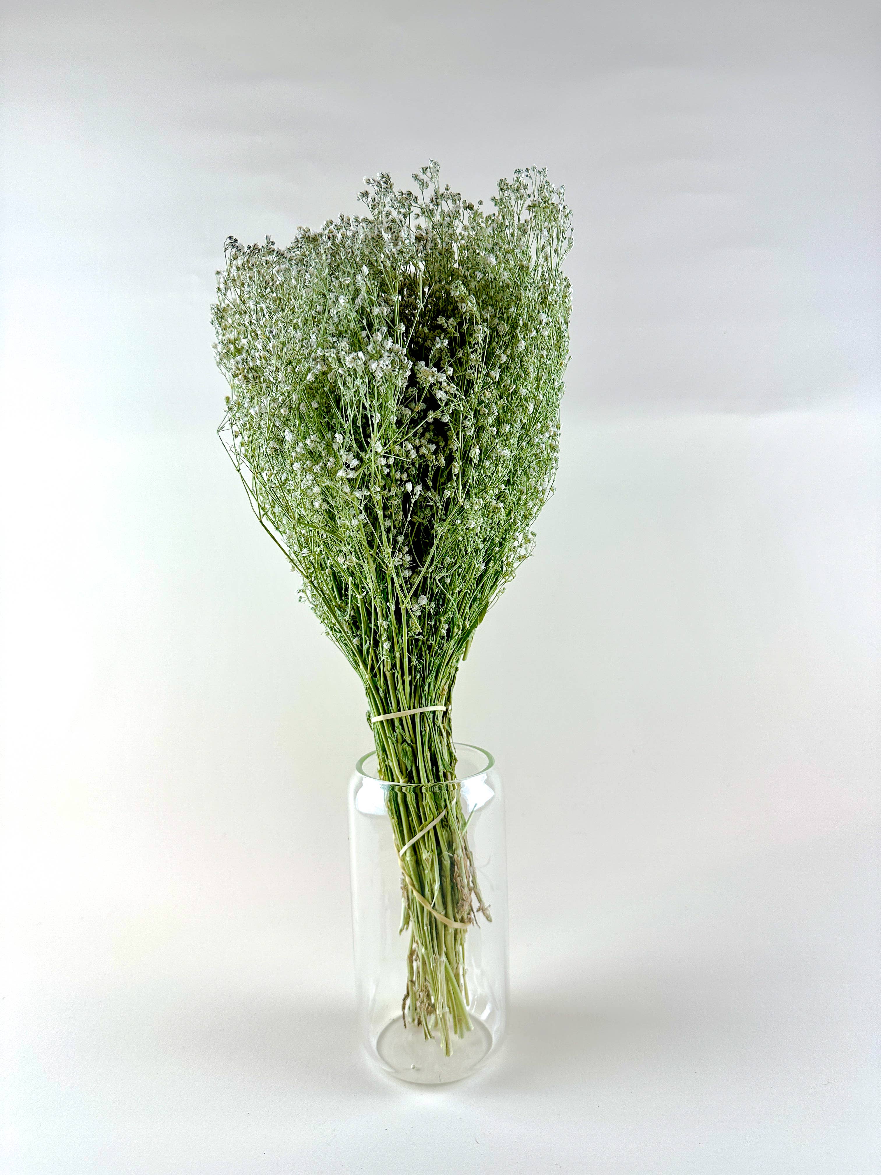 Lovejoy Farms Premium Dried Flowers - Vente Fleur séchée/pressée - Gypsophile (Souffle de bébé) Séché à l'Air Naturellement2