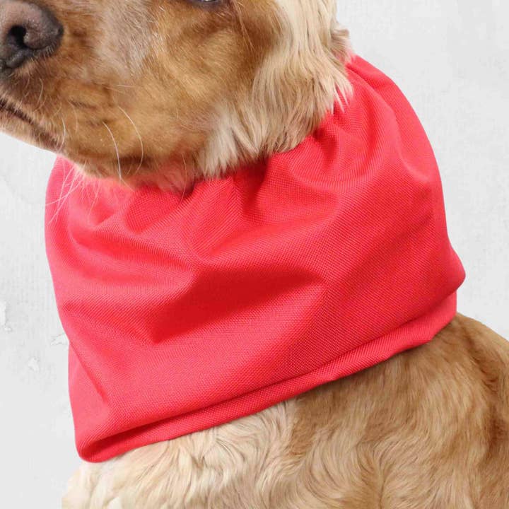 Snood pour chien imperméable | Rouge pour la vente par Distinguish Me