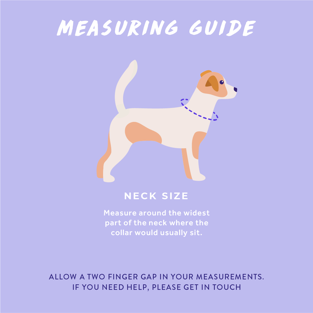 WYLD CUB - Vente Collier – chien - Flockin' Fabulous : Collier pour chien5