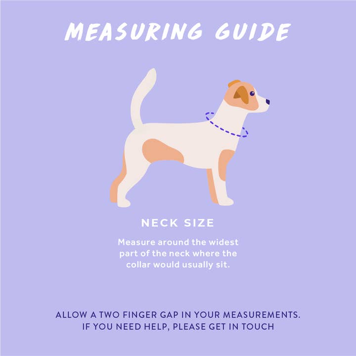 WYLD CUB - Vente Collier – chien - Flockin' Fabulous : Collier pour chien5