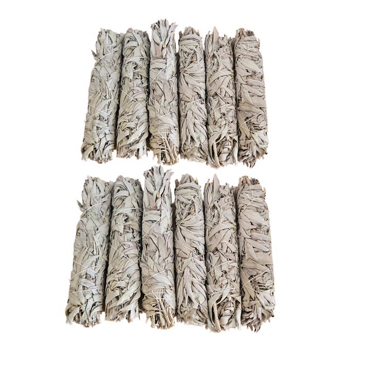 Très grand bouquet de sauge//Salvia Grande pour la vente par Botanica Luz Del Dia Inc