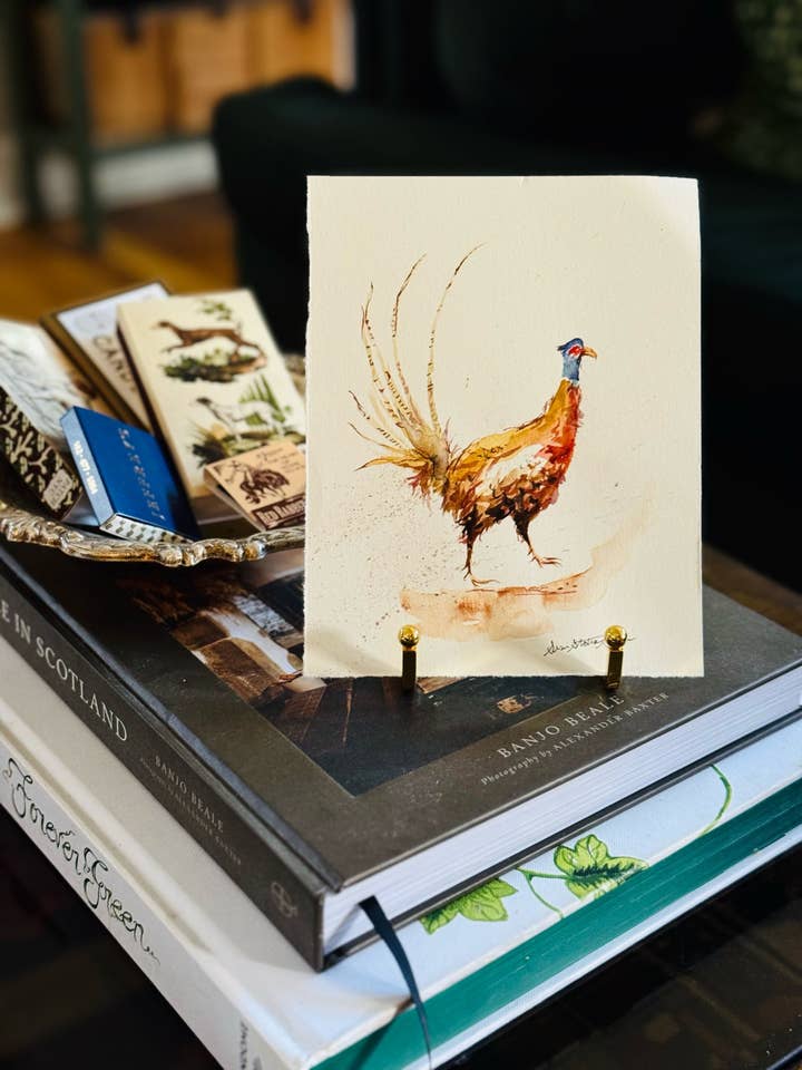 Pheasant - mini original for wholesale by Susie Stokes Gibson Art & Design