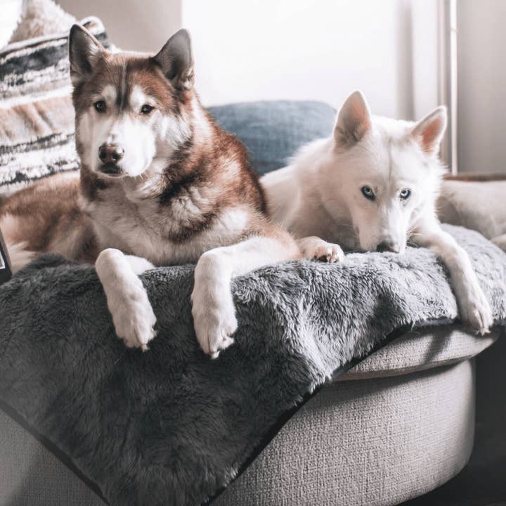 Paw Brands - Wholesale Pet Blanket - Dog - PupProtectorâ„¢ Short Fur Waterproof Throw Blanket - Charcoal Grey