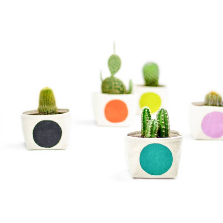 Dot Blockprint lærredplante — 2,5“ for engroshandel hos Gray Green Goods