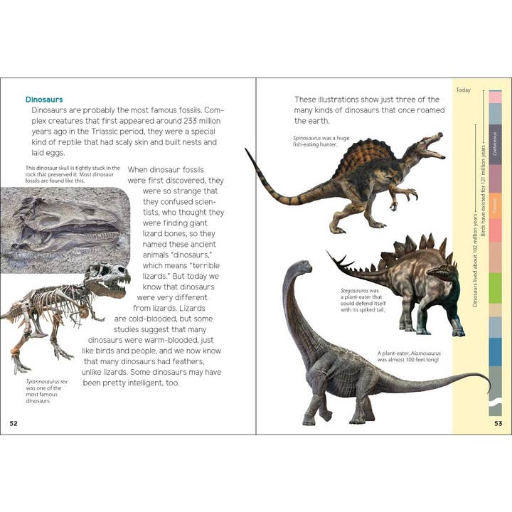 AdventureKEEN - Wholesale Book - Kids - Fossils for Kids