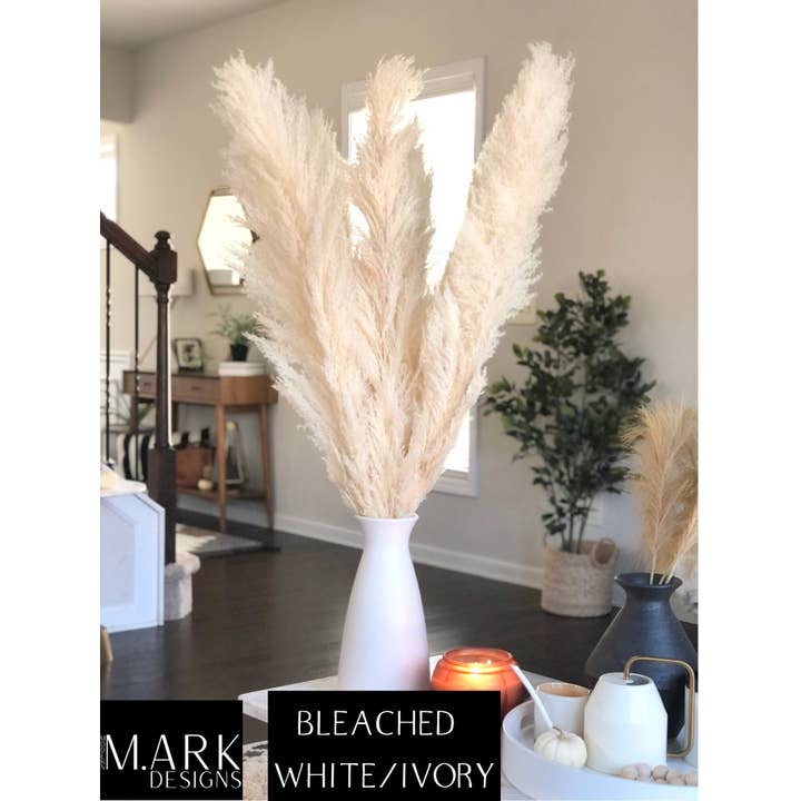 Modern Ark Designs - Wholesale Dried/Pressed Flowers - Fluffy Pampas Grass Stems Extra Large Pampas Grass