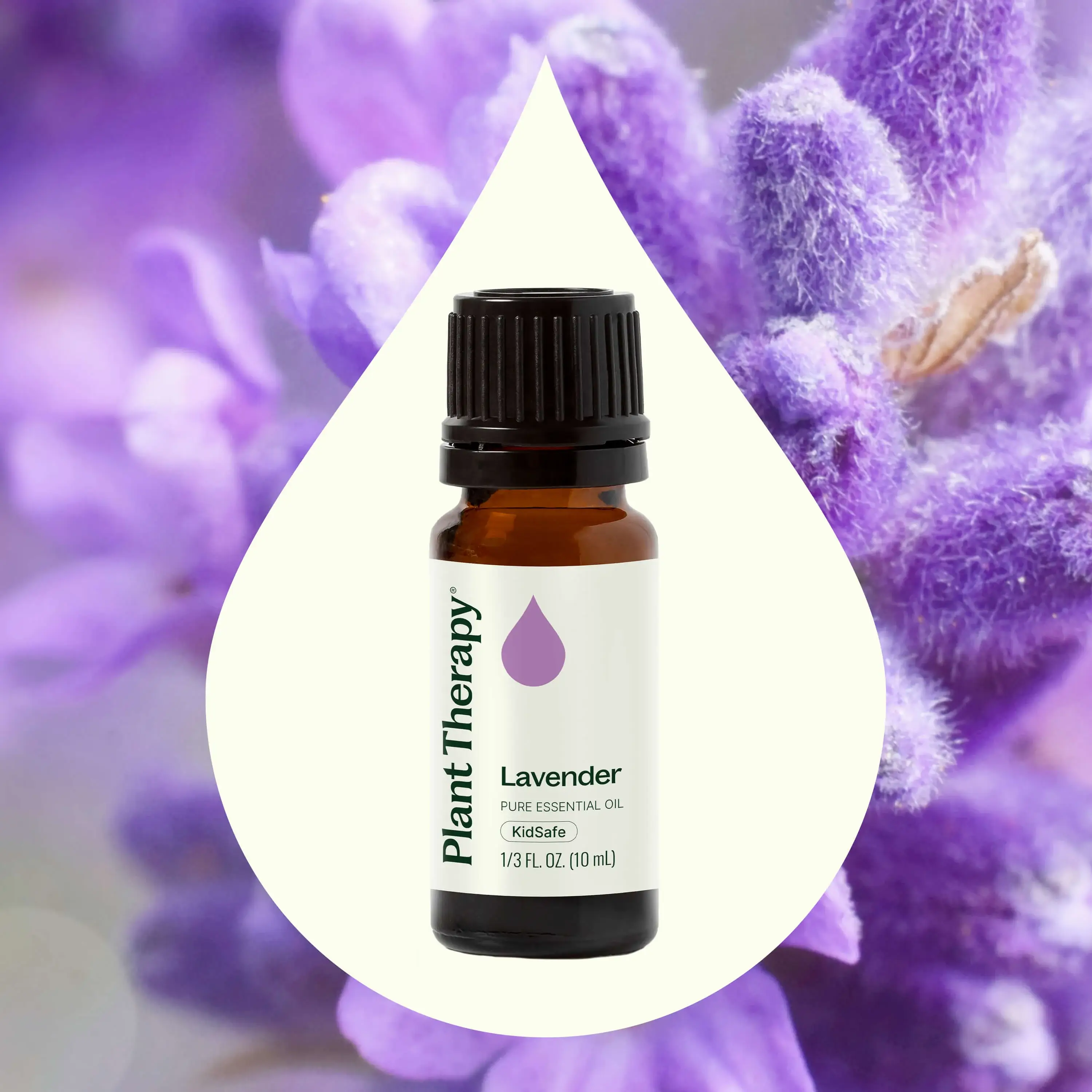 Plant Therapy - Wholesale Essential Oil - Lavender Essential Oil 10 mL2