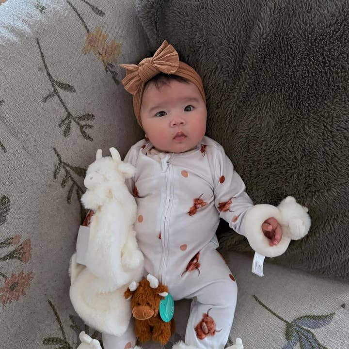 Jomanda Soft Toys & Accessories - Wholesale Stuffed/Plush Toy - Kids & Baby - Highland Cow Soft Toy Baby Soother Cream 29CM X 29CM1