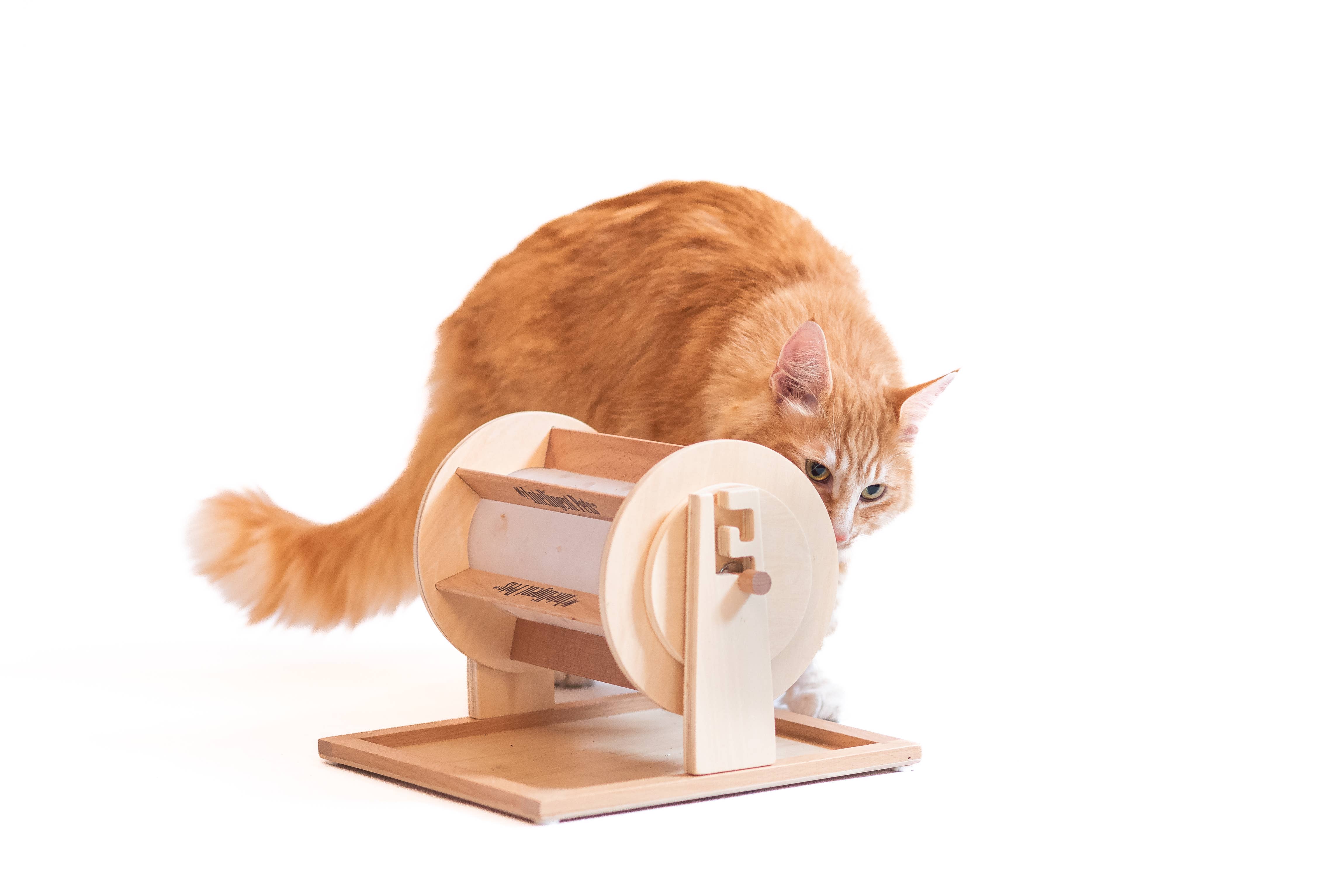 My Intelligent Pets - Wholesale Pet Toy - Cat/Dog - Wheel of Fortune - Pet Toy of the Year - pet treat dispenser1