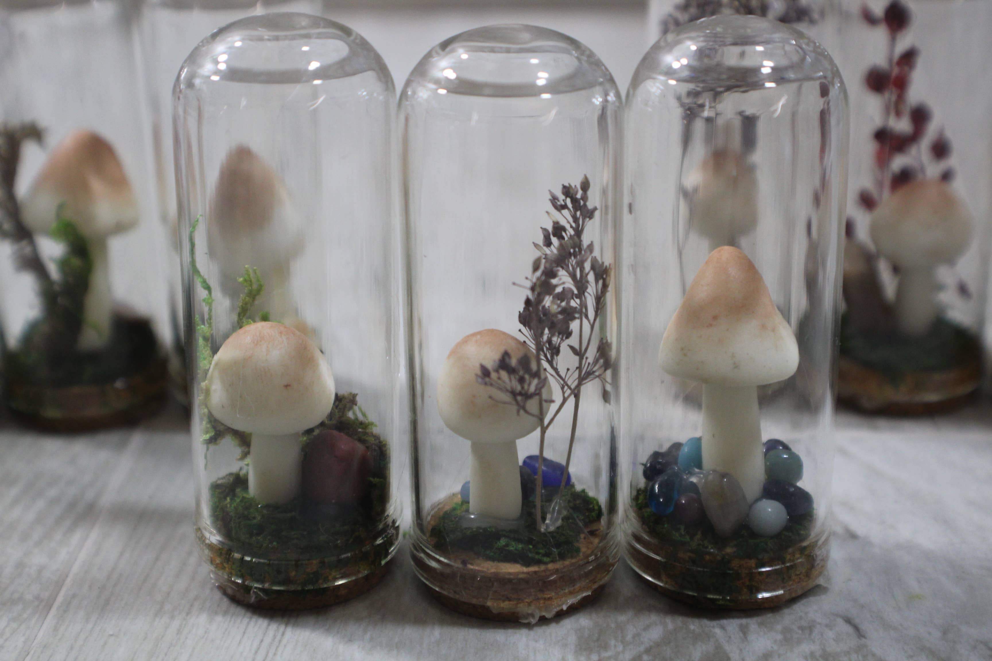 Raven Design - Wholesale Terrarium - Mushroom Terrarium Glows in the Dark!3