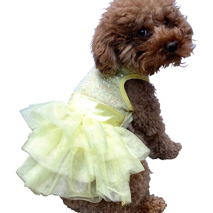 The Dog Squad - Wholesale Pet Dress - Dog - Zsa Zsa Dog Tutu Dress in Lemon Yellow