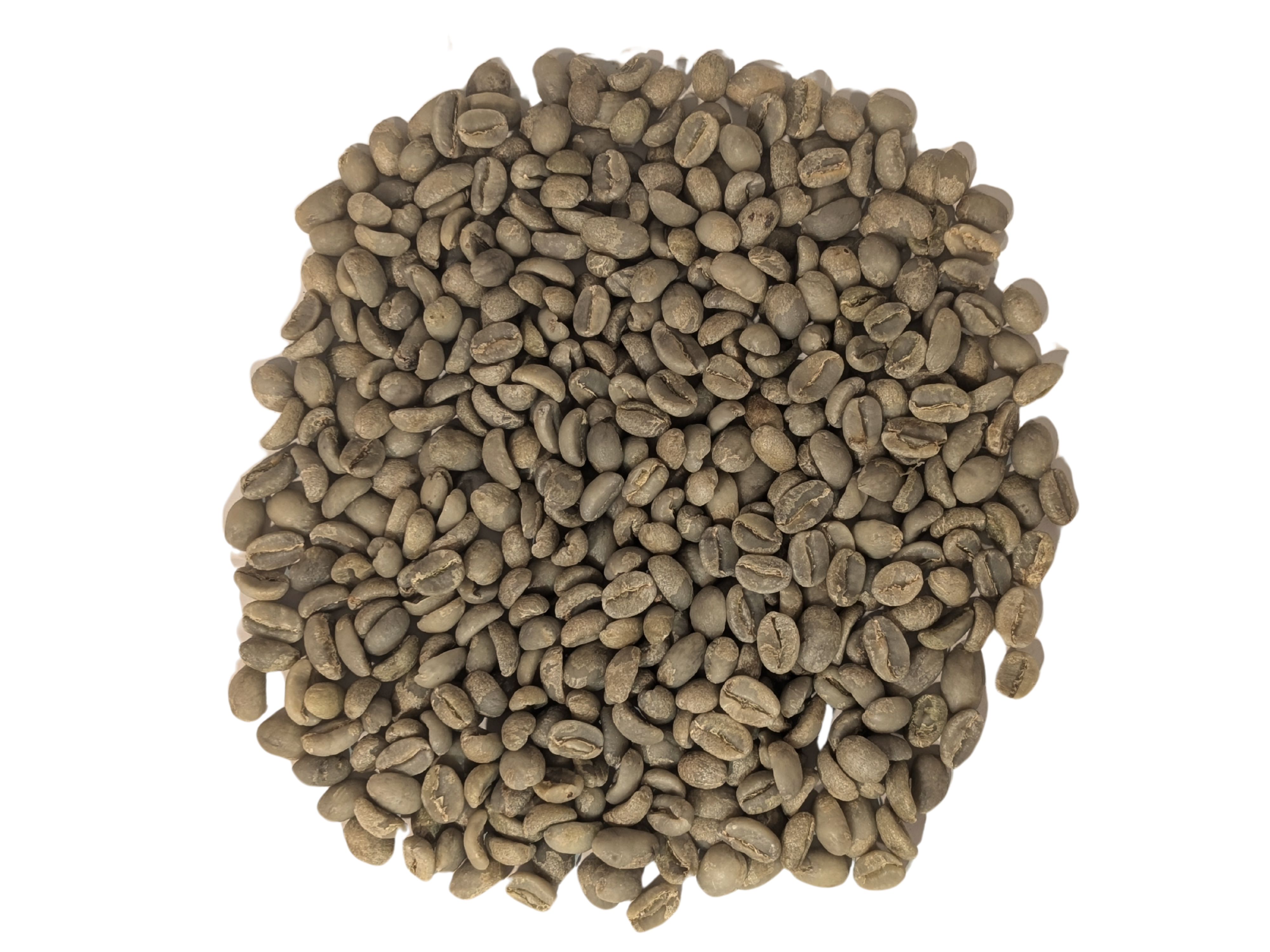 United Beans Coffee Roastery – wholesale Kaffebönor – Gröna kaffebönor | Etiopien Yirgacheffe1