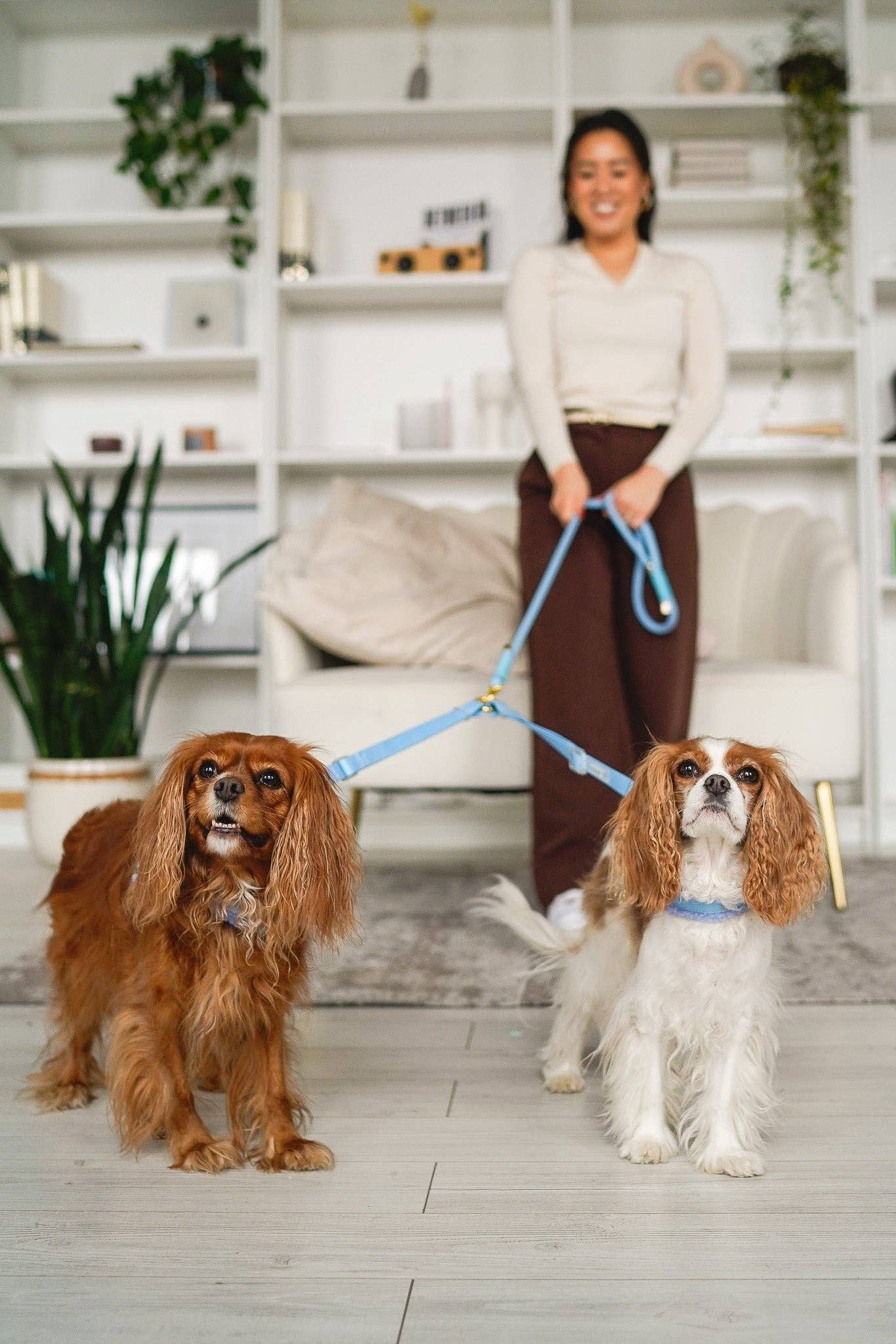 Cavology - Wholesale Pet Leash - Dog - DOG LEASH COUPLER SPLITTER MULTI DOG ATTACHMENT PASTEL COLOR3