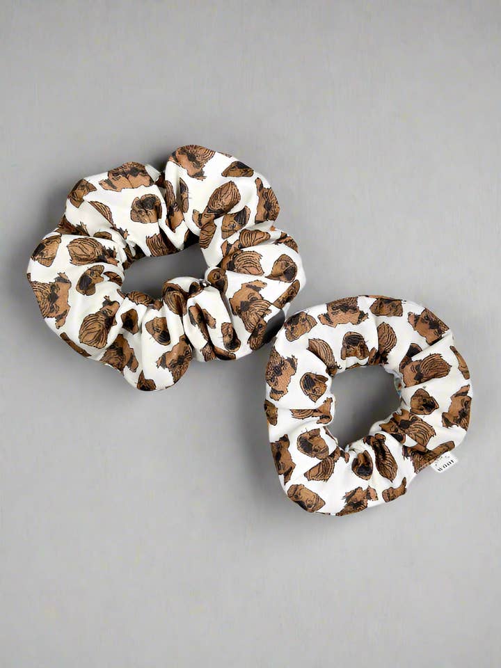 Chouchou Griffon Bruxellois pour la vente par House of Woof