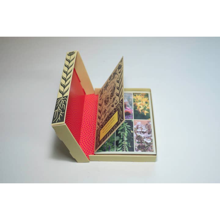 Earthsong Seeds – wholesale Plant seeds – Bee Herbal Garden - Organic Herb Seeds3