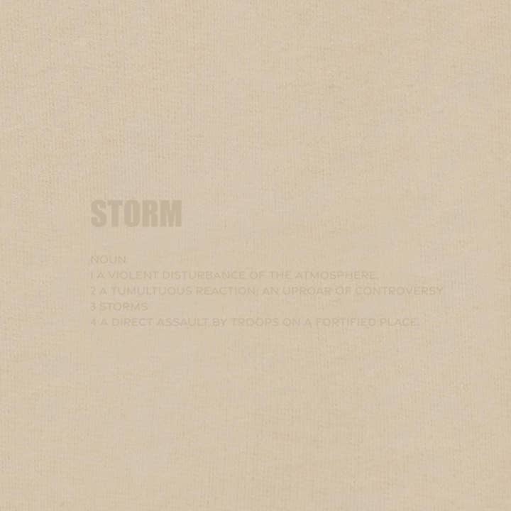 Storm Active – wholesale Athletic shorts – Men's – Essential 5" Sweat Shorts Sand4