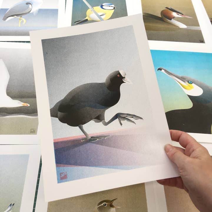 VrijFormaat - Wholesale Art Print - riso print - Coot - Bird art print - A4