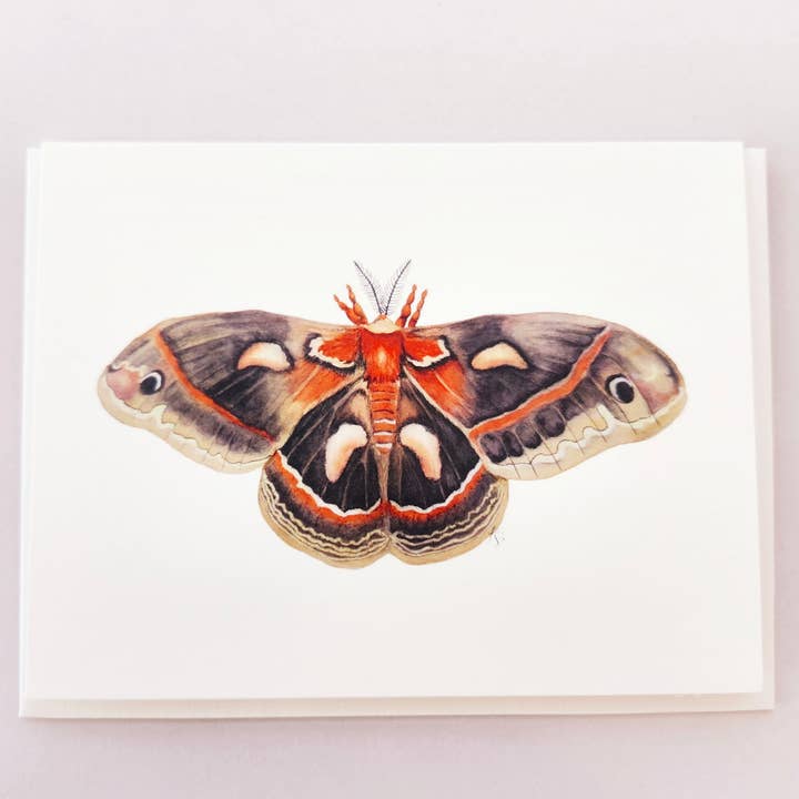 Redbriar Studio - Wholesale Stationery/Notecard Set - Notecards27