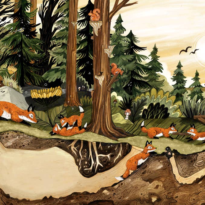 Ræve//Signeret tryk for engroshandel hos Sandra Dieckmann