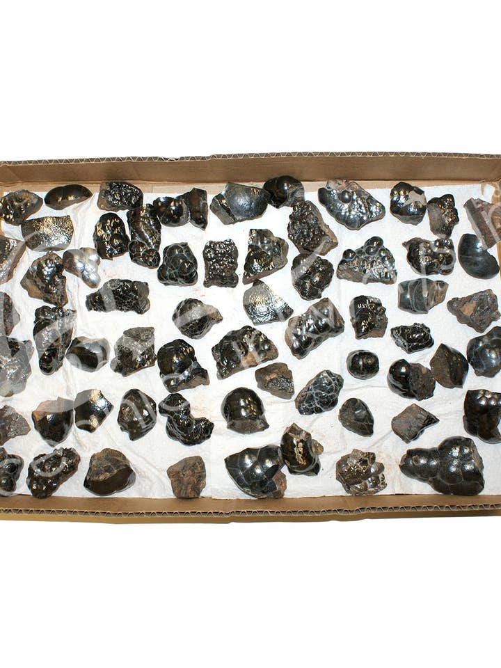 (FLACH) EXEMPLAR - HÄMATIT GEHIRN GOETHIT BOTRYOIDAL 1-2" für den Großhandel von Oceanic Linkways Inc