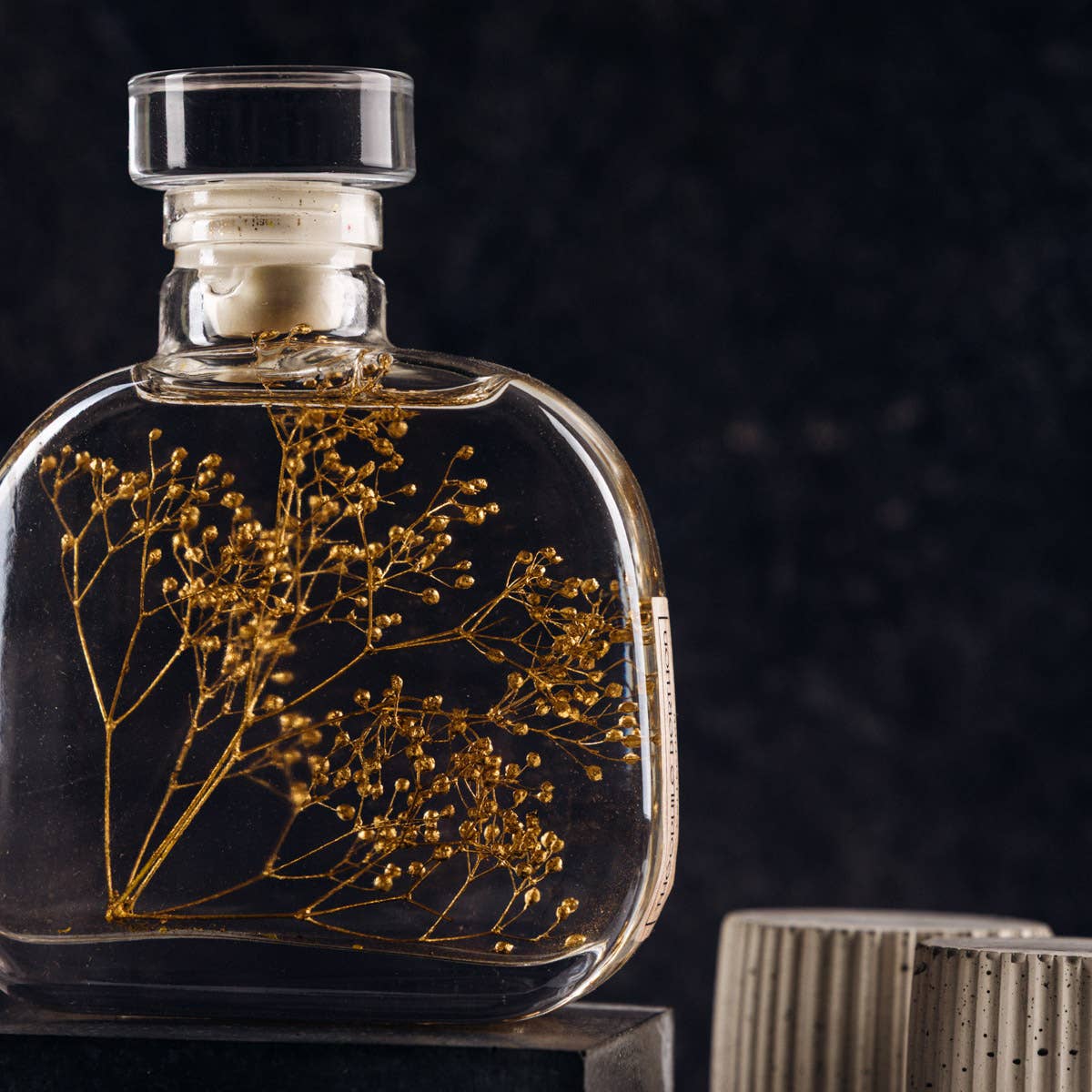 Theophile Berthon – Planta viva por atacado – Cápsula Herbarium - Gipsofila dourada-planta submersa7