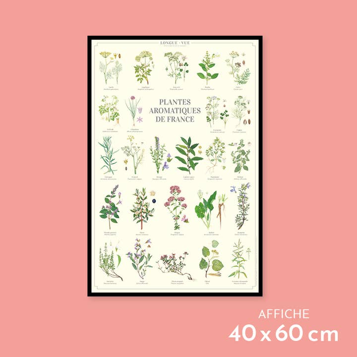 Aromatic plants of France - Poster for wholesale by Longue-vue