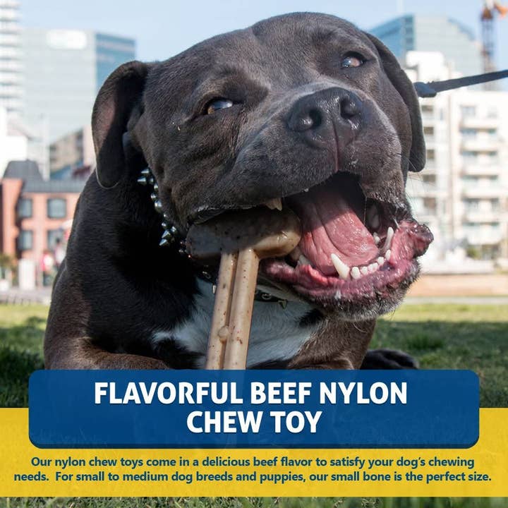 BulliBone - Wholesale Pet Chew Toy - Dog - Bullibone - Beef