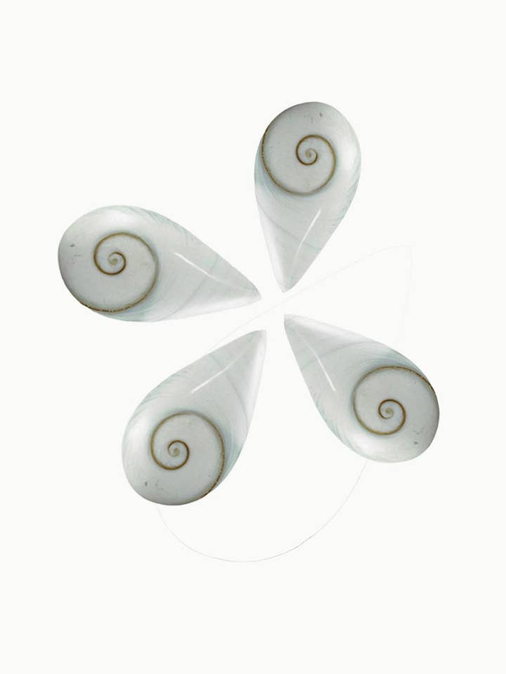 Shiva Eye Shell Teardrop for wholesale by Sivalya