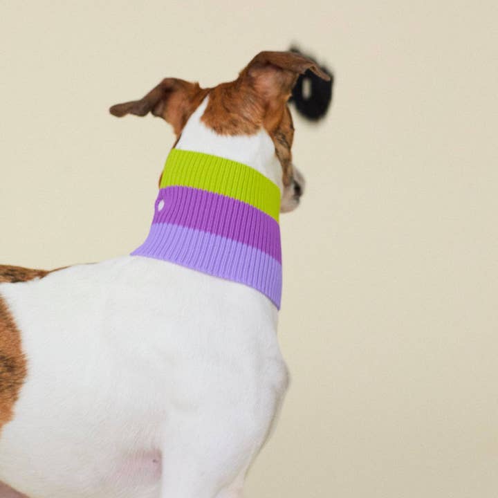 VIOLA VÅR THE GLOW LOOP - Neon Hundhalsduk - (VIOLA SPRING) för wholesale på Faire5