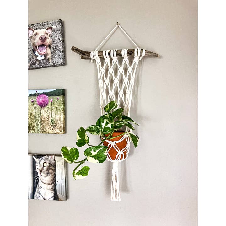 Why Knot - Wholesale Hanging Planter - Wall Plant Hanger - Handmade Macrame Pot Holders1