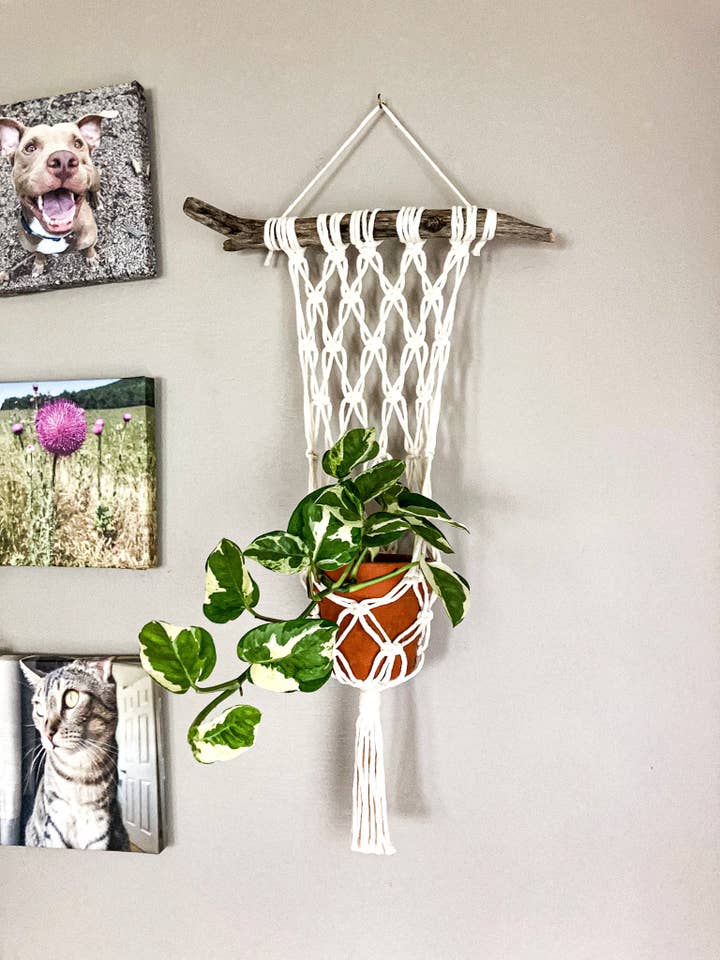Wall Plant Hanger - Handmade Macrame Pot Holders for wholesale by Why Knot